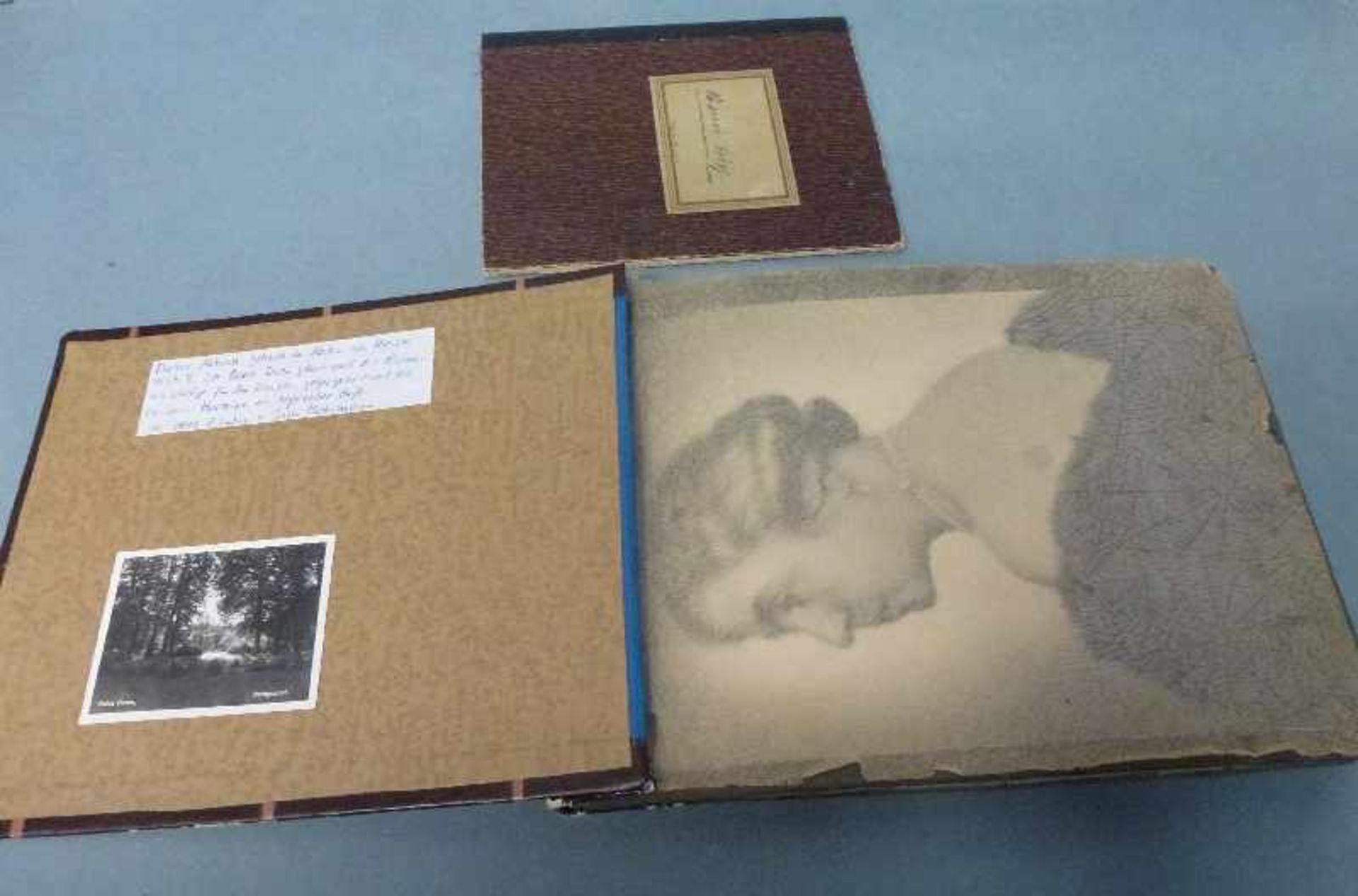 Fotoalbum Kaiser Wilhelm II Album d. Köchin im Hause Doorn (1938-'41), ca. 100 überw. bez. u. dat.