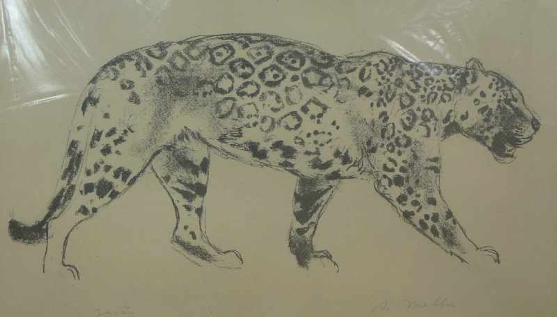 "Jaguar", Arvid Mather (1905-1950) Lithographie, Bleist.-sign., schreitender Jaguar, GR, 34x53cm