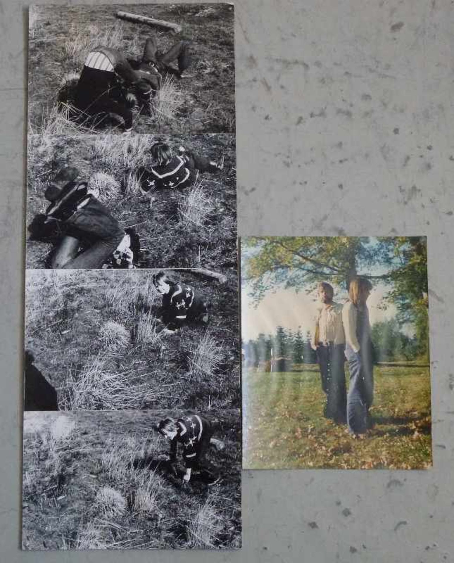 5 Fotografien, 1970er Jahre 1x Farbabzug eines jungen Paares vor Baum (leicht gewellt), Oberfläche