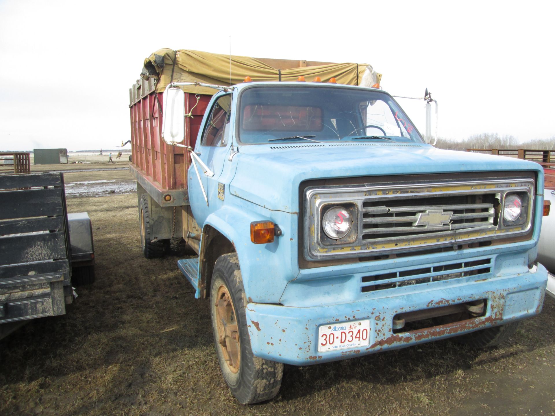 1973 CHEV C-65 GRAIN TRUCK C/W 15' STEEL BOX & HOIST - Image 4 of 4