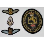 Badges - Special Reconnaissance Regiment - 2 x Army Flying Badge - Riding House Department of His