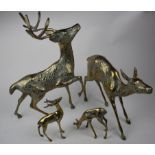 Four brass ornamental deer, varying sizes, largest height 41.5cm approx.
