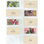 Brooke Bond (Canada or U.S.A.) Wild Flowers of North America, printers proof cards x 9, rare