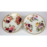 Pair of Derby plates 1784-1840 decorated with flowers and gilding, 219mm.