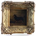 Oil on board, circa 19th century, depicting a German Shepherd type dog in standing pose, unsigned,