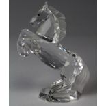 Swarovski Crystal rearing horse, with mirror base, contained in original packaging