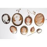 Cameo related items (8) to include two 9ct gold brooches.