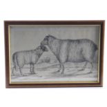 Early 19th Century. Pencil drawing, depicting a pair of sheep in a field, unsigned, framed & glazed,