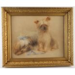 Watercolour, depicting two Yorkshire terriers with blue ribbons, circa early 20th century, very