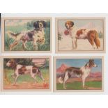 Trade cards, Spain, Anon, Natural History, Series 3a (Dogs), set of 12 chromolithographed cards with