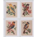 Tobacco silks, Morris, English & Foreign Birds, 'M' size (set, 25 silks) (gd)