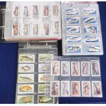 Cigarette & Trade cards, a good collection of Fishing-related cards in 3 modern albums, inc Devlin &