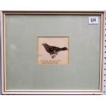 HEINRICH GOTTLIEB LUDWIG REICHENBACH (1793-1867) Study of a bird Watercolour Inscribed in ink