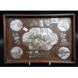 Chinese hardwood rectangular mother of pearl inlaid tray, the central lobed medallion with a