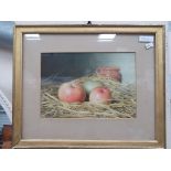 19/20th Century British School Still life of apples on a ned of hay with a stoneware jug Watercolour