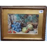 19th Century watercolour still life of fruit amongst foliage 7' x 11'