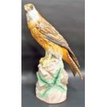 German porcelain large model of an Kite upon a rocky perch by Ernst Bohne & Sohne, with glass