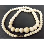 Ivory graduated bead necklace, with gilt metal screw clasp, length 24'