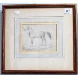 Possibly by CARLE VERNET (1758-1836) Portrait of a standing horse Pencil Signed, further