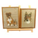 Beatrice M. White (American 1908 - 1995), Taffy & Taffy aged 10 weeks, two coloured signed pastel