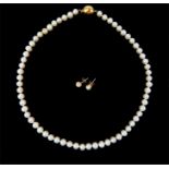 A 9ct gold and pearl necklace with 9ct gold and pearl studs.