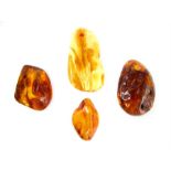 Four amber pendants each with insect, largest 5.6cm, overall 37grs