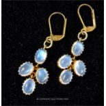 A boxed pair of yellow metal and moonstone drop earrings.