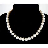 South Sea Natural Pearl Necklace