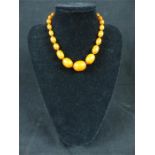 A Baltic natural amber graduated necklace; 40g, 26cm long.