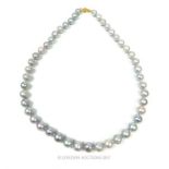 A AAA+ natural South Sea grey pearl necklace