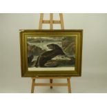 After Sir Edwin Landseer, RA, a Victorian hand tinted engraving 'Salmon and Otter'