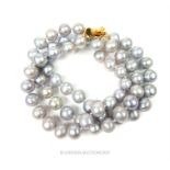 An AAA+ natural South Sea grey pearl bracelet