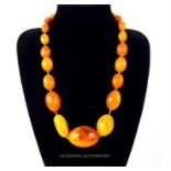 An exceptional quality, very large Baltic amber graduated bead necklace