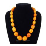 A fine, large, Baltic amber, graduated, opaque bead necklace