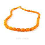 An attractive, Baltic amber, ovoid, bead necklace