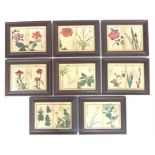 Eight 19th century Japanese botanical woodblock plates