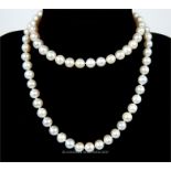 A fine freshwater pearl necklace with silver clasp in the form of a shell; stamped silver; 84 cm