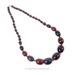 A cherry amber necklace formed of 39 graduated beads, 85g gross