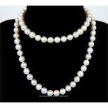 A fine, freshwater, white pearl necklace