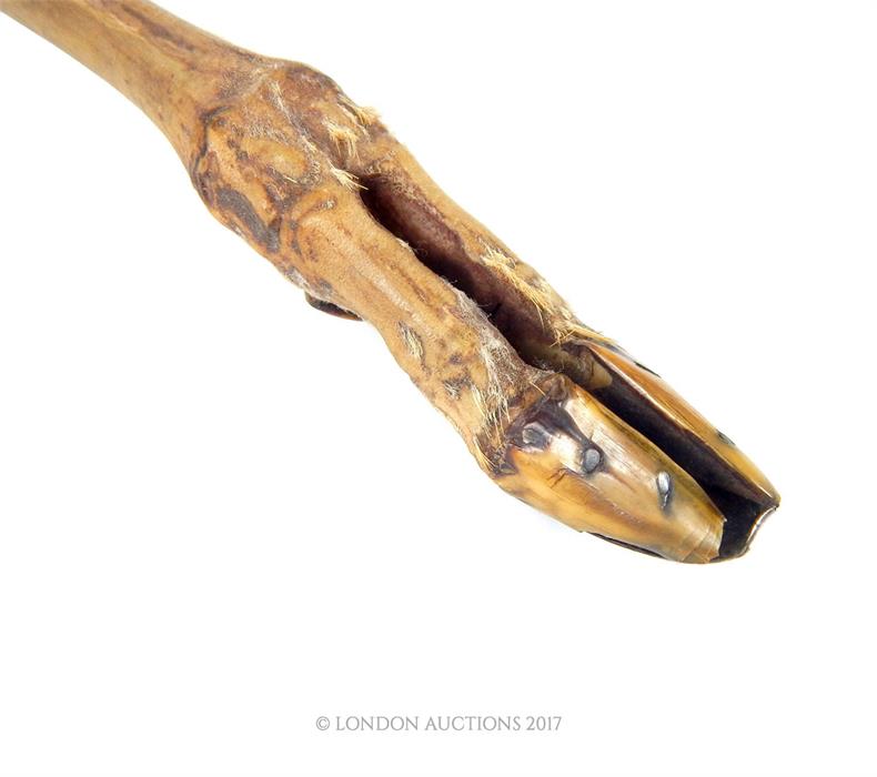 A 19th century Scottish silver, mother of pearl and deer foot letter opener - Image 2 of 3