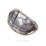 A late Victorian novelty sterling silver vesta case in the form of a Brazil nut,