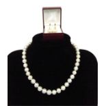 A large, South Sea pearl necklace with 14 ct yellow gold clasp with matching earrings