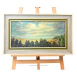 A 20th century, British, framed, oil painting of trees, fields and a cloudy sky