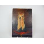 An unframed oil on board portrait of a Yorkshire Terrier with a bow in it's hair