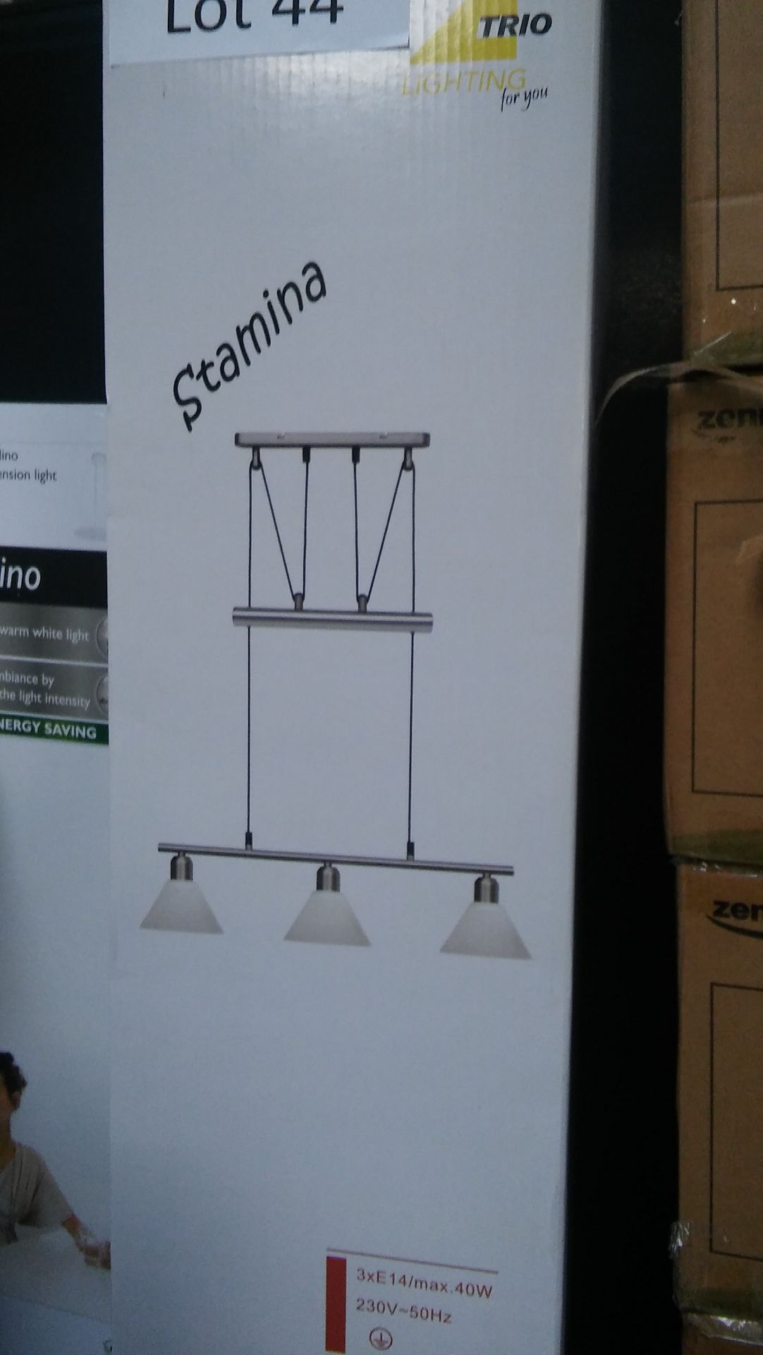 Trio Lighting Stamina stylish adjustable ceiling light. New.