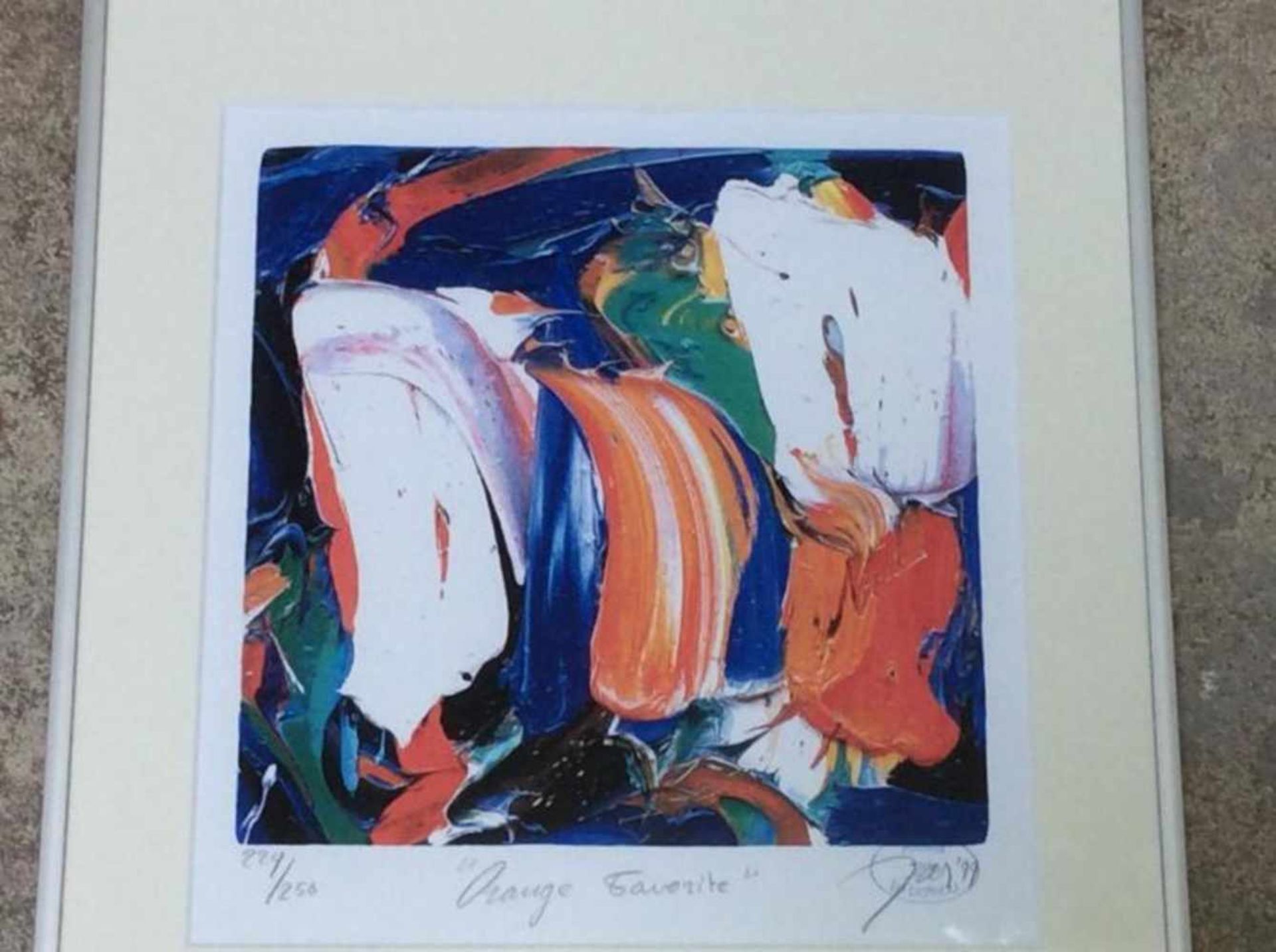 Jas 'Orange is my favourite' lithografie, ges. en gedat.'99, 229/250, 32x30cm