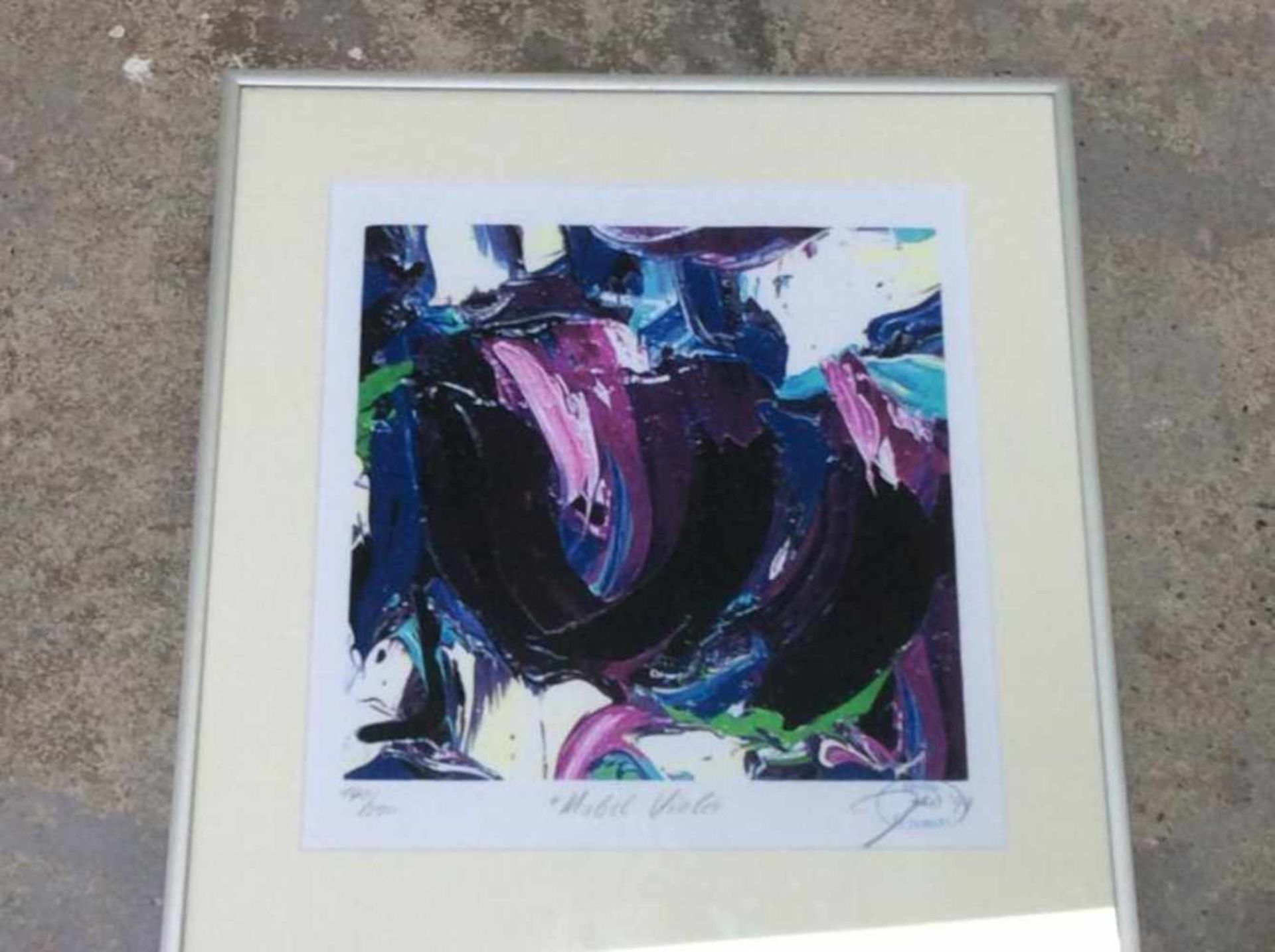 Jas 'Mabel Violet' lithografie, ges. en gedat.'99, 140/250, 32x30cm