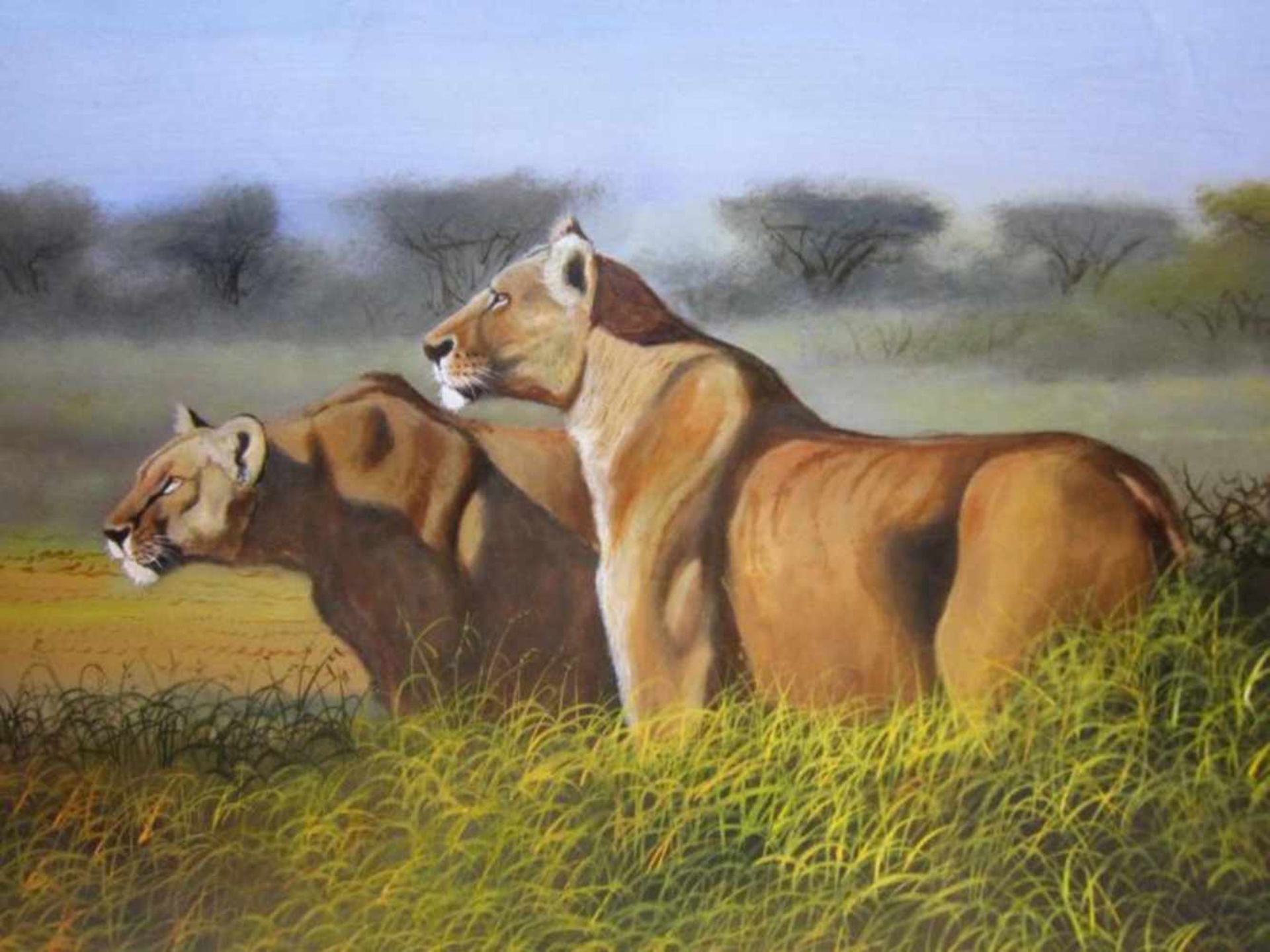 W. Nokviga 'Zuid Afrika' schilderij op doek, ges. 68x82cm (classical painting, signed, canvas)