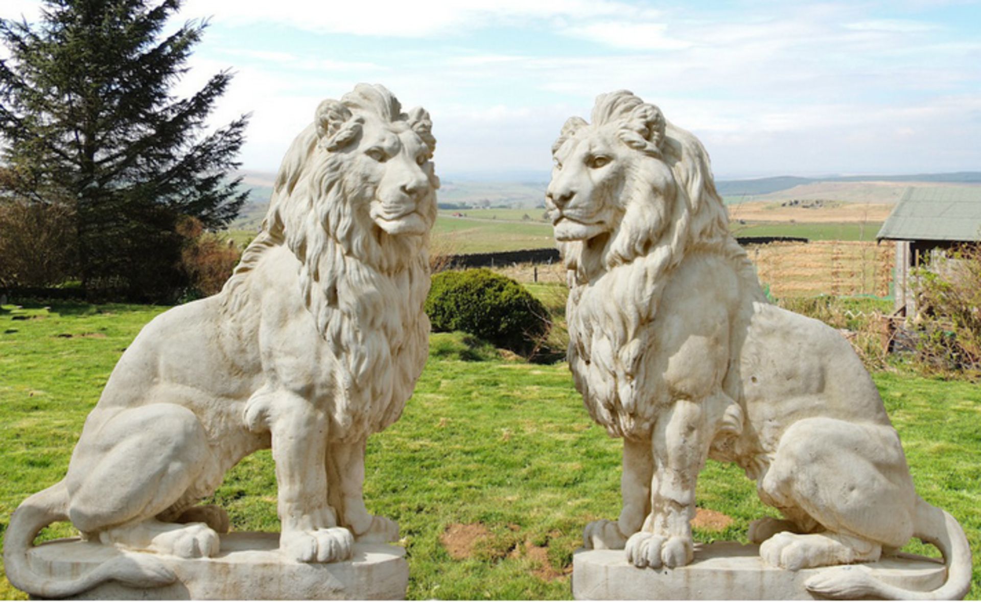 HUGE MAJESTIC LIONS - GATE KEEPERS 4 FT HIGH WEIGH c.1/2 TON EACH!