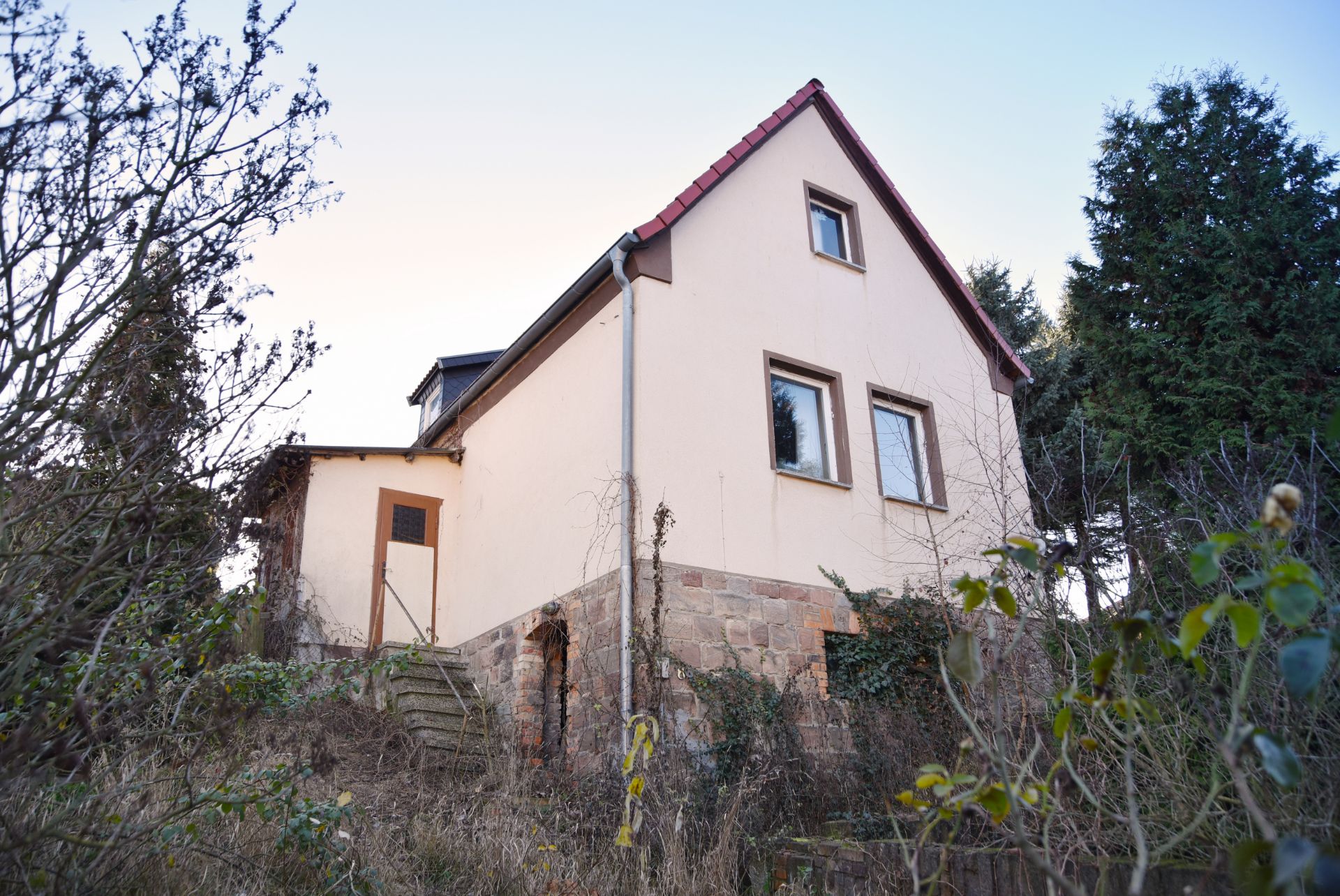 LARGE FREEHOLD HOUSE AND LAND IN SAXONY-ANHALT, GERMANY
